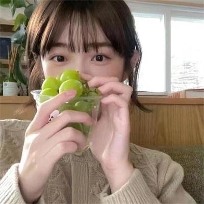 蒙哥一家的故事