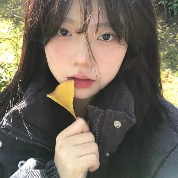 闪电狗